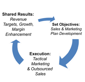 Business Plan Execution